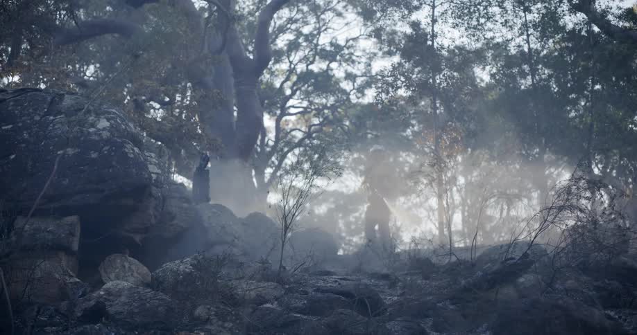 A clip of a firefighter wetting the woods