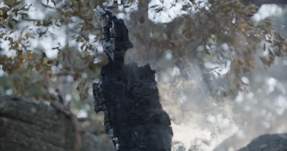 A charred tree trunk smolders releasing a thin stream of smoke
