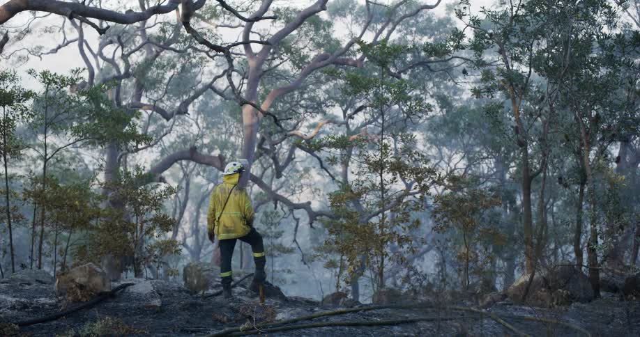 Firefighter in the middle of a burning forest with smoke in the background and charred soil