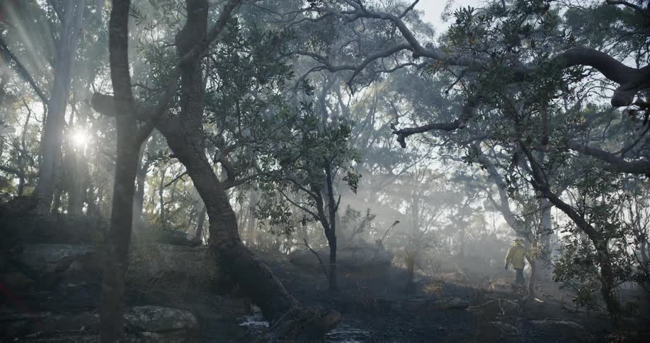 A clip of a firefighter walking in the woods