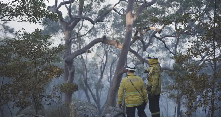 Two firefighters survey the ruins left behind by a fire in a forest