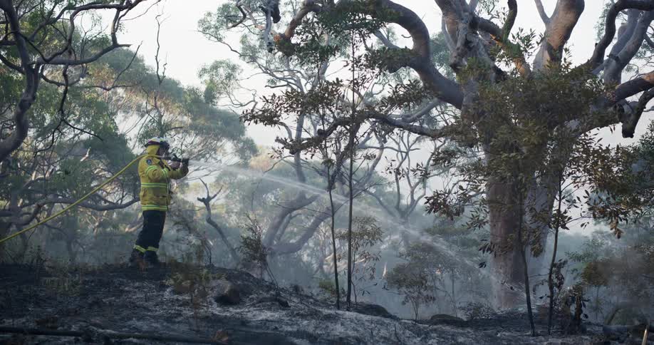 Firefighter putting out fire in a forest