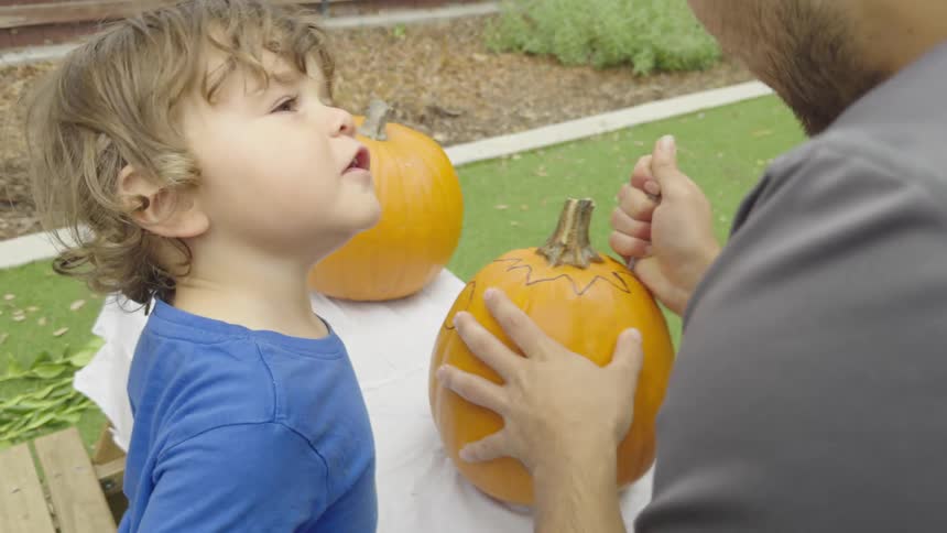 A clip of a father cutting a pumpkin for a kid