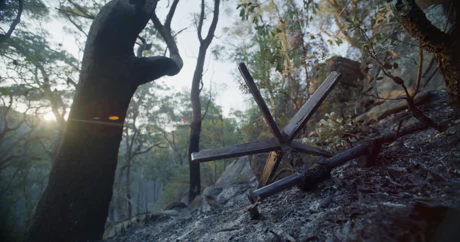 A clip of ashes in the forest
