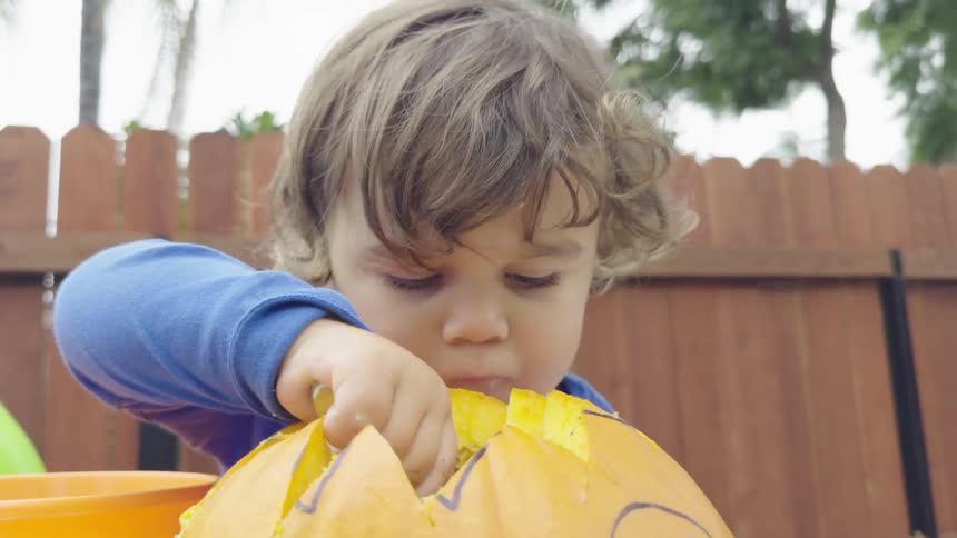 A toddler uses a large spoon to scoop out pumpkin innards in the backyard
