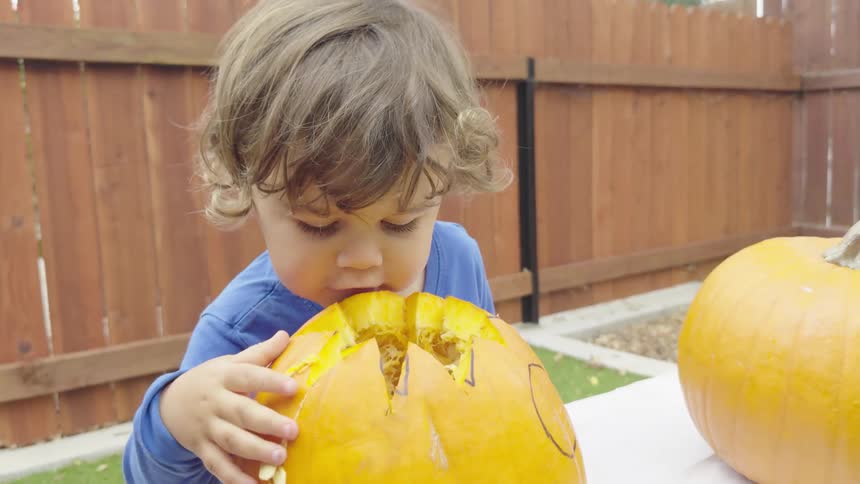 A clip of a kid pulling the top of a pumpkin