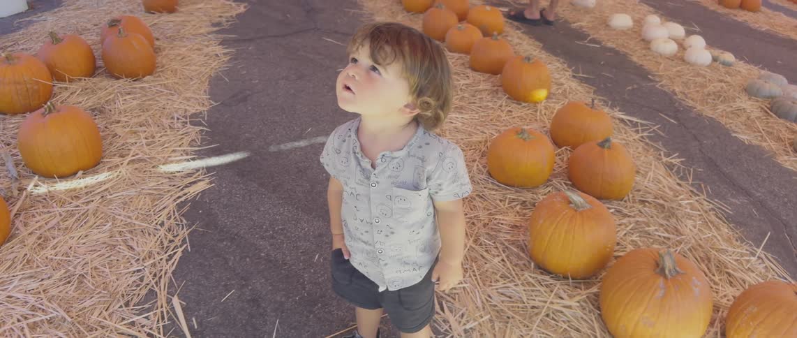 A young boy stands amidst pumpkins and straw looks up and then walks away