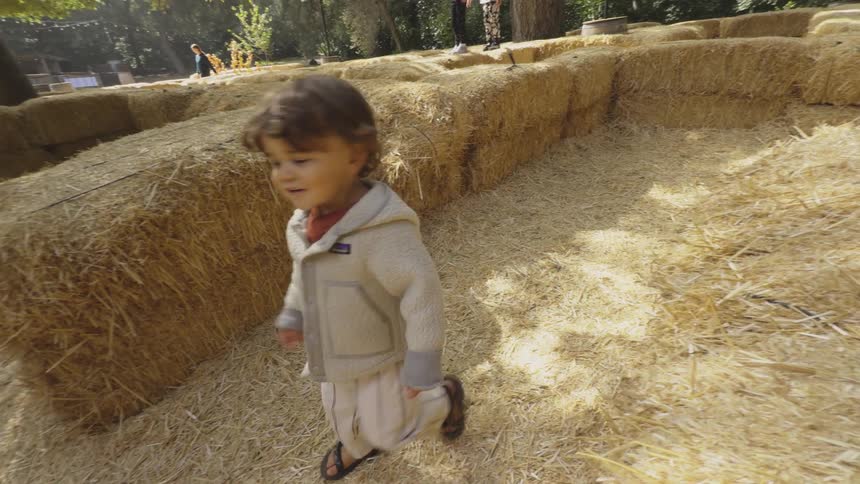 Little boy walking in a park surrounded by dry grass and weeds