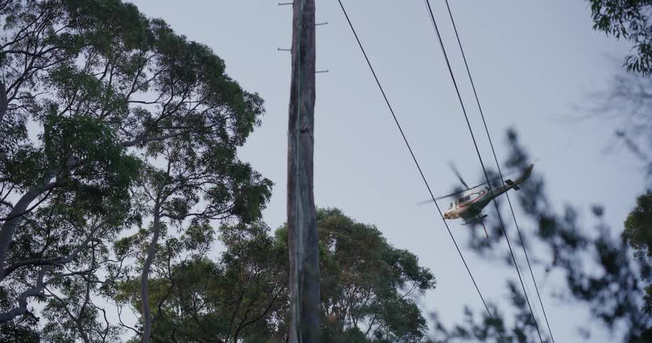 Helicopter trailing a hose flies over the grove of trees near an utility pole