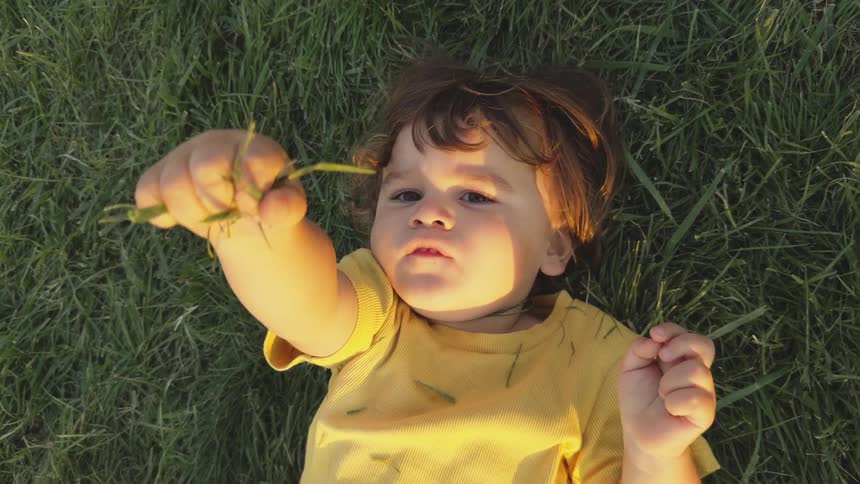 A male toddler lays in the grass showing a clump of grass in his hand