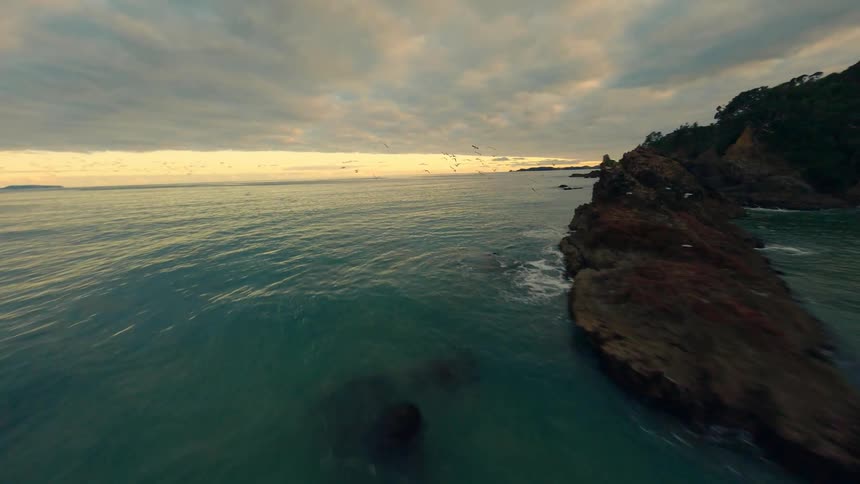 Birds fly over islets and rock formations near a forested coast under an overcast sky