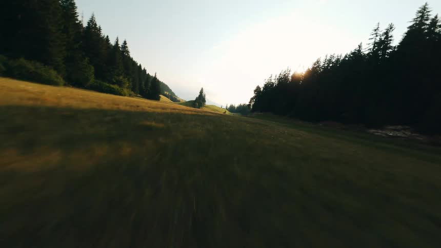 Aerial View of a Beautiful Clearing in the Forest with Golden Light in the Swiss Mountains