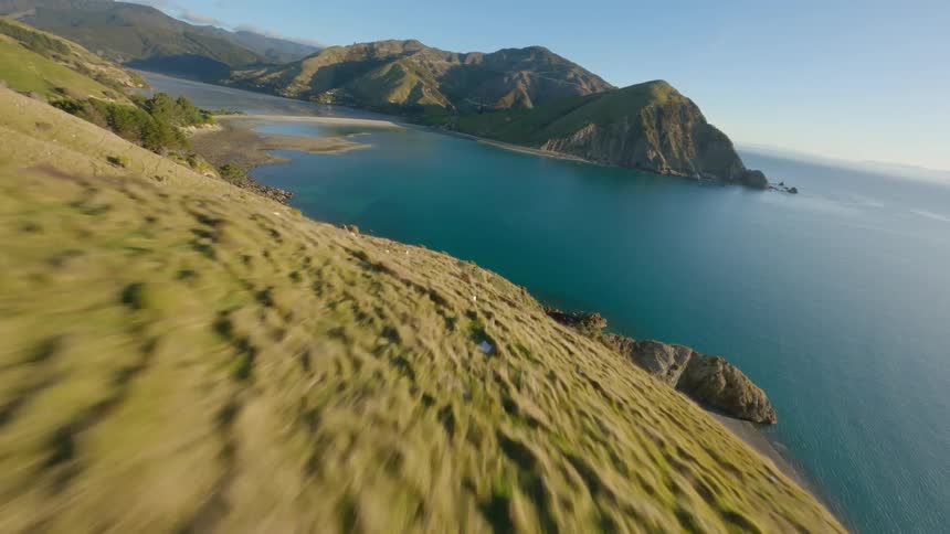 Aerial view of a greenish coastline by the sea