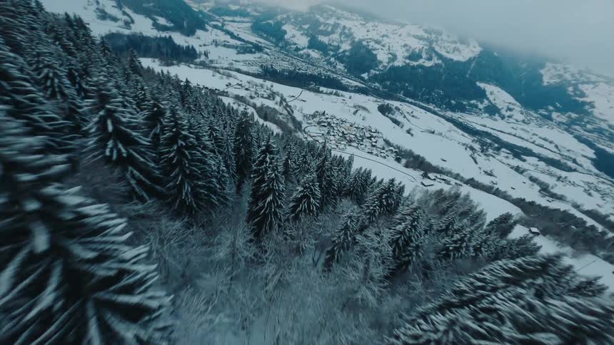 Forests of frost covered conifer trees occupy the slopes surrounding a town in a snowy valley during winter