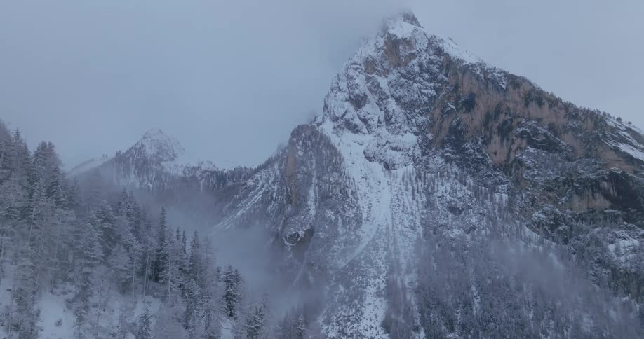 The mountains are covered with trees and snow