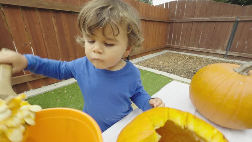 Young child helps his mom scoop seeds out of pumpkins before making jack o lanterns