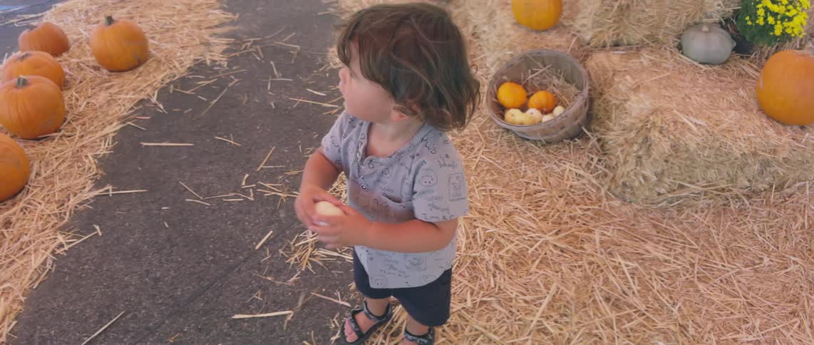 Little boy standing holding a small white pumpkin in a setting of dry grass and other large pumpkins around