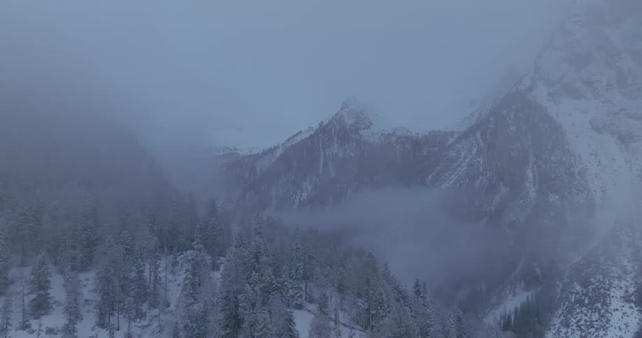 Aerial view of snowy mountains with conifers on a foggy day