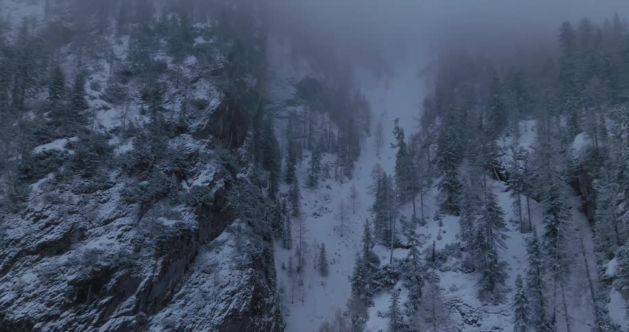 An aerial clip of an ice woods