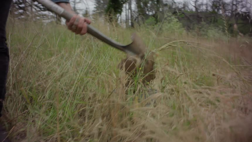 Person with a shovel shoveling dirt in a grassy environment with trees in the background