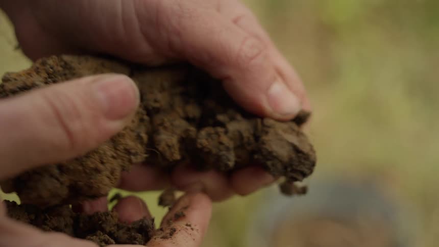 A man crumbles a clod of dirt with his hands