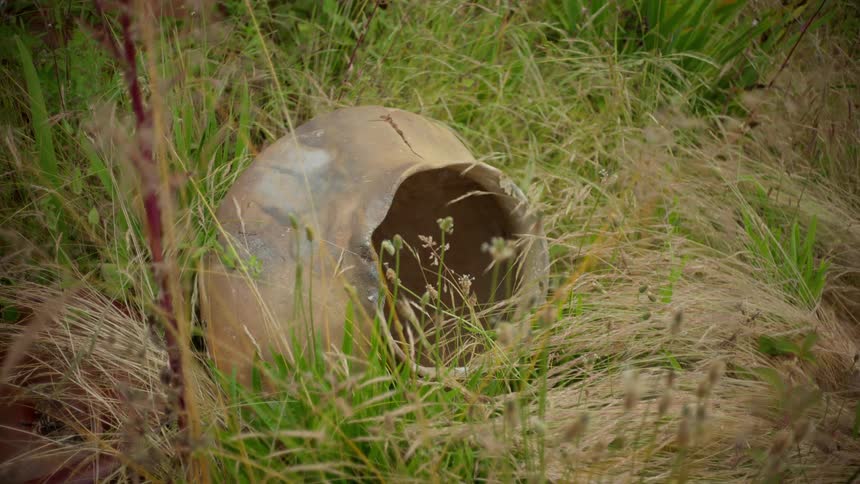 Old clay pot thrown on the dry grass