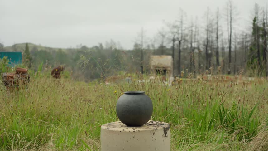 Round vase in a dome in the middle of a field with tall grass