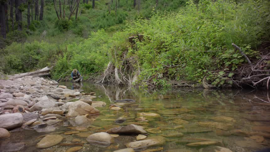 A person wading in a shallow river surrounded by lush vegetation and rocky banks