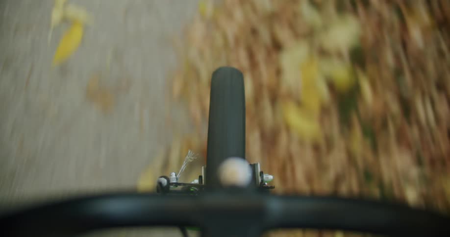 Point of view riding a bike on a path coverd in fall leaves