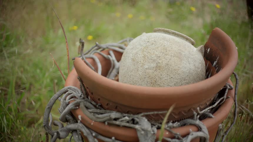 A broken terra cotta pot