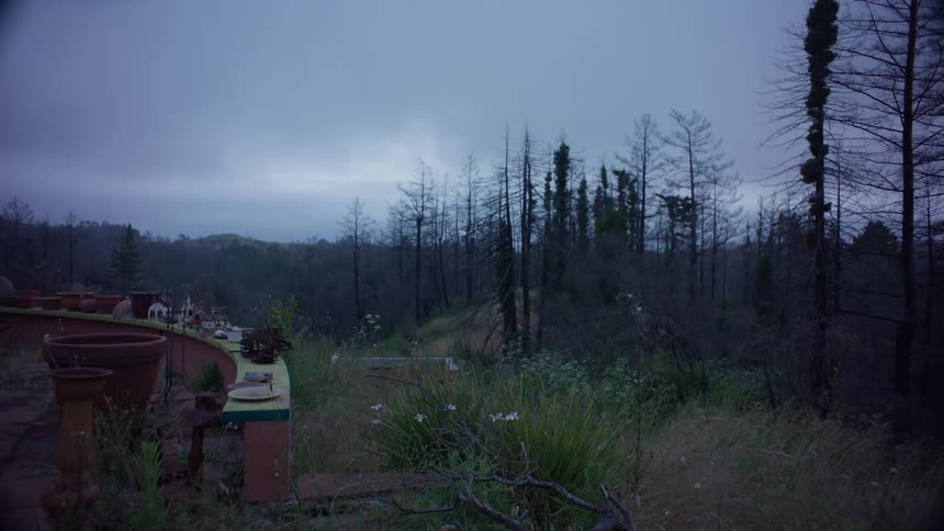 Forest landscape and a low wall in the foreground with pots