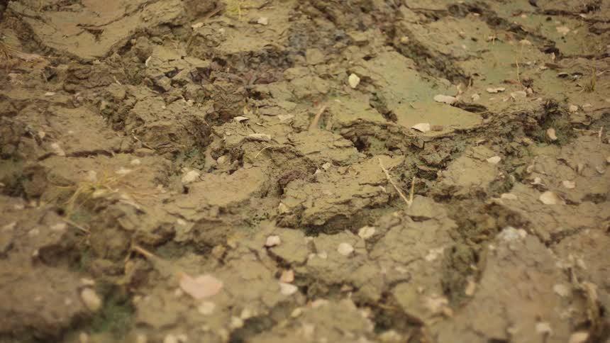 Close up of a wet clay soil