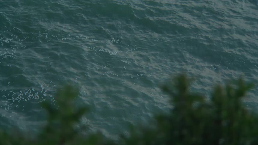 A view of a rough choppy sea from a clifftop framed by green foliage