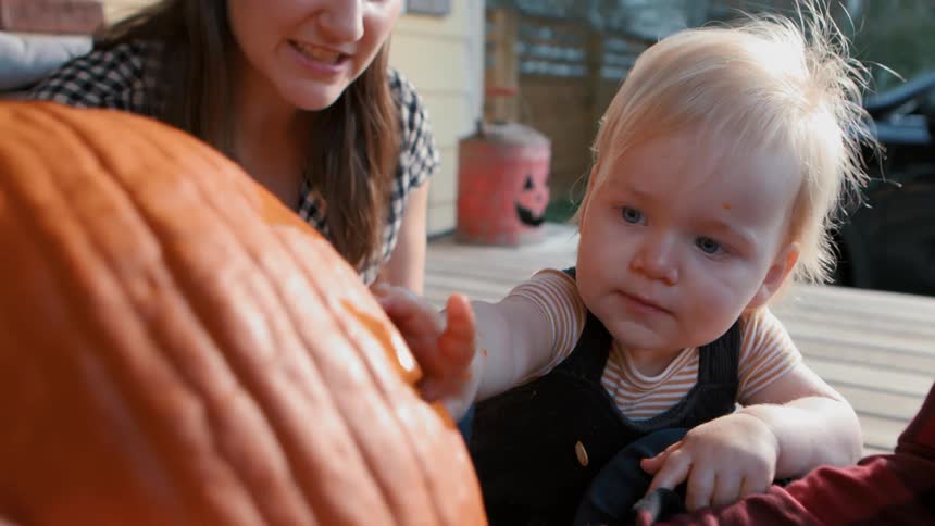 Little boy with his parents next to him interacting with a halloween pumpkin