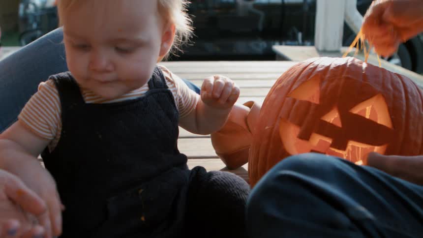 A family pull seeds out of a carved pumpkin
