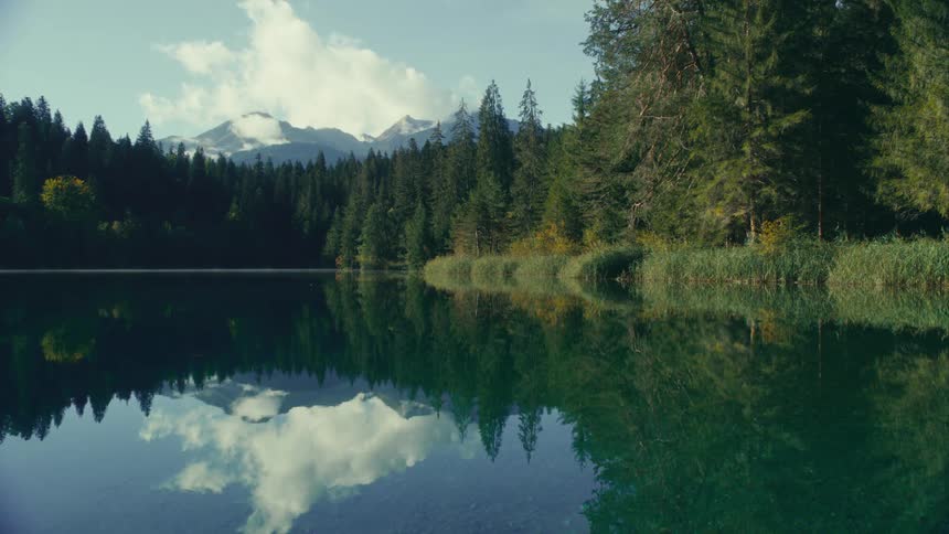 Landscape of a greenish lake with the shore full of conifers and mountains on the horizon