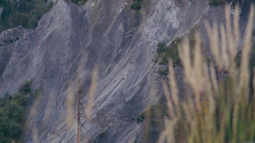 Grass blows in the breeze in a field near a steep mountain side