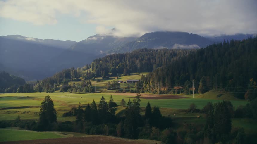Landscape of fields surrounded by mountains with conifers