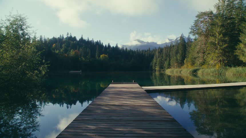 A pier is on the lake by the forest