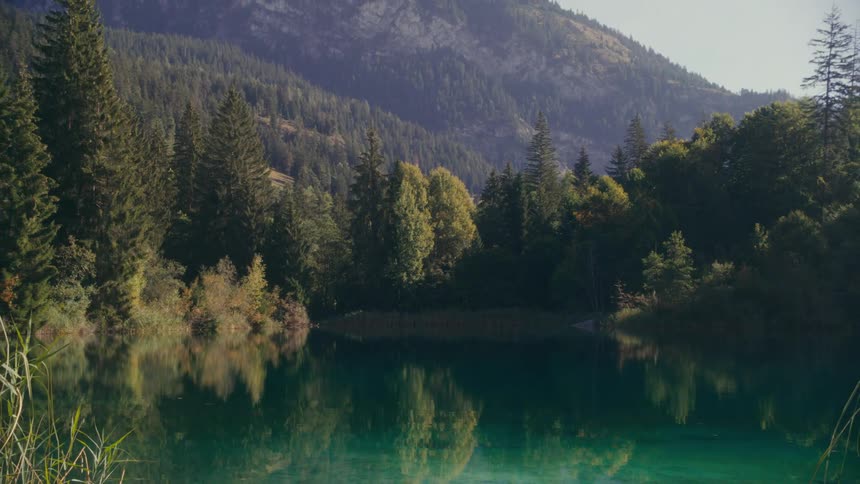 A serene lake surrounded by mountains with tall grasses and lush green trees