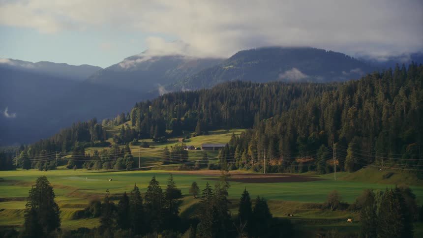 Landscape of a green field surrounded by mountains and trees