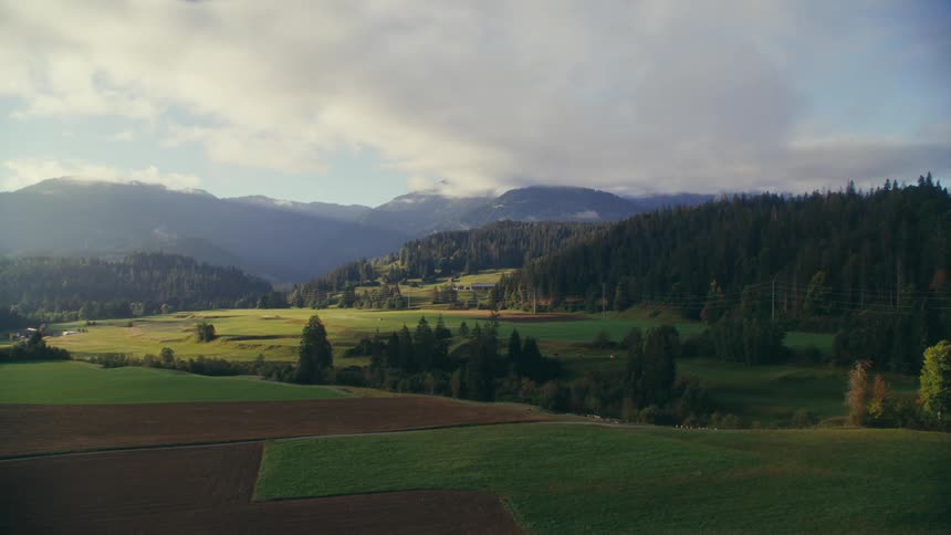 Panorama of an agricultural field with mountains in the background and conifers