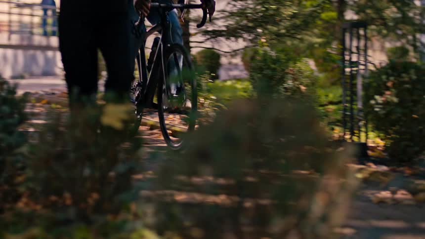 A person drives a bicycle through a small park in the city