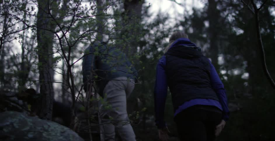 A couple and a dog hike in the forest