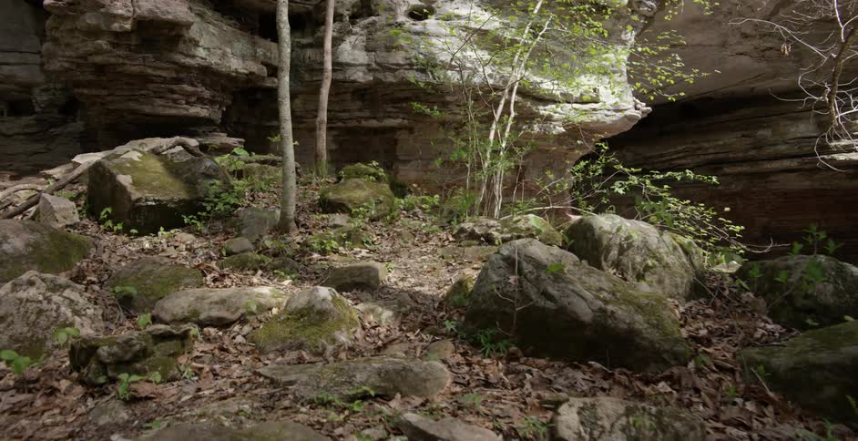 Mossy rocks cover the ground