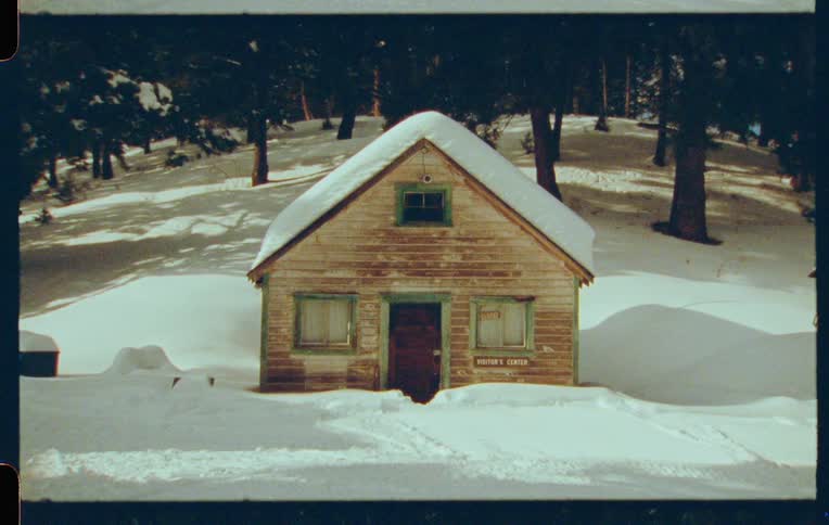 A small wooden cabin sits atop a snowy hill surrounded by tall pine trees