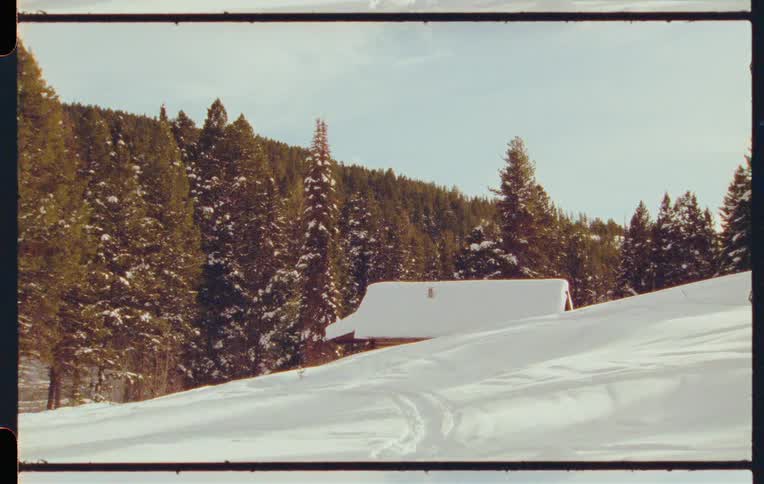 A cabin sits on the side of a snowcovered mountain in an evergreen forest