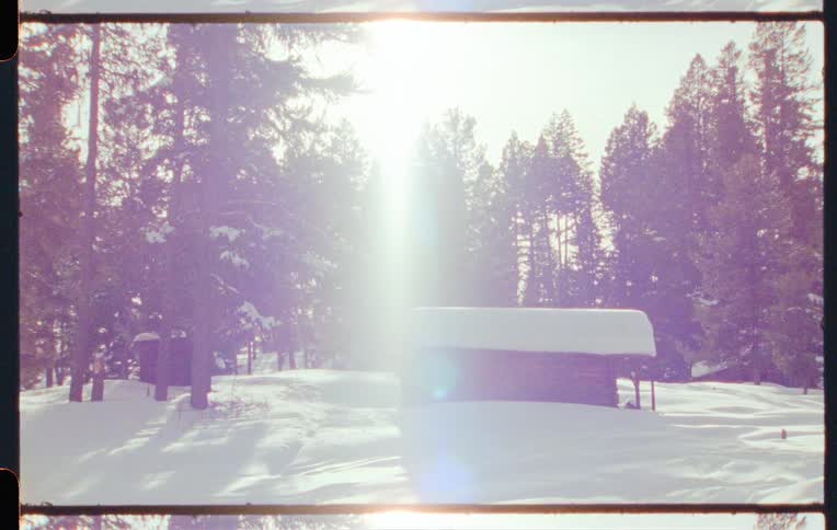 Winter landscape with a cabin partially covered in snow surrounded by trees with sunlight filtering through the branches