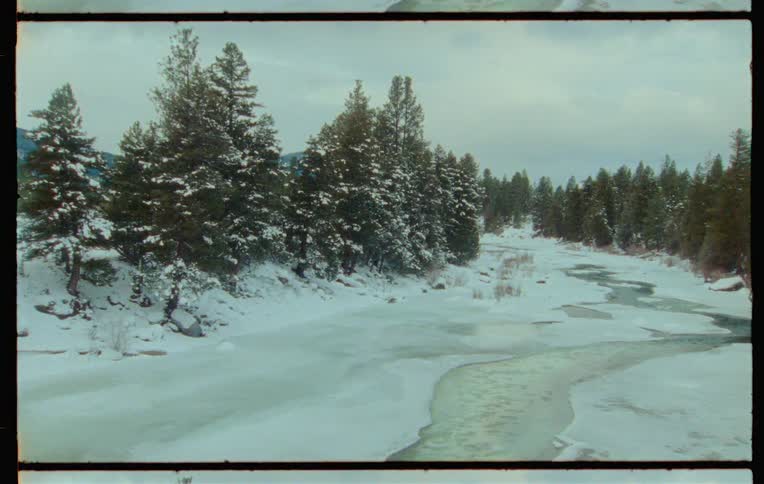 Landscape of a river in the middle of a snowy coniferous forest