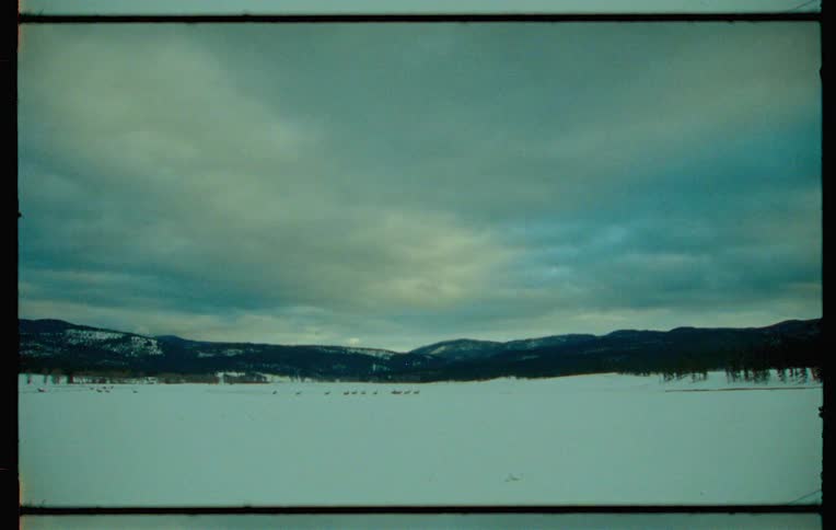 Snowy landscape with animals running and mountains in the background